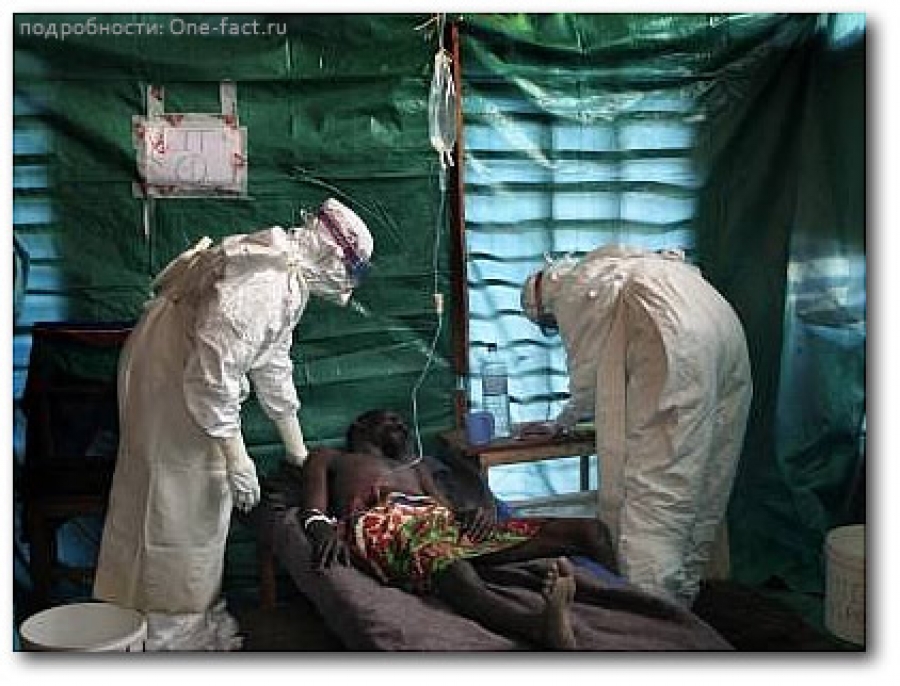 Эбола вирусын голомтот улс болох Конго руу манай 12 иргэн зорчжээ