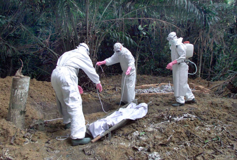 Эбола вируст халдвараар 8000 гаруй хүн нас баржээ