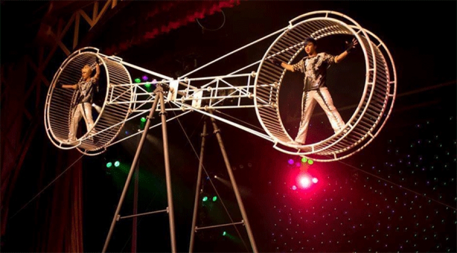 “Дэлхийн цирк Монголд 2015"-ын эхний өдрийн тоглолтын тасалбар дуусчээ