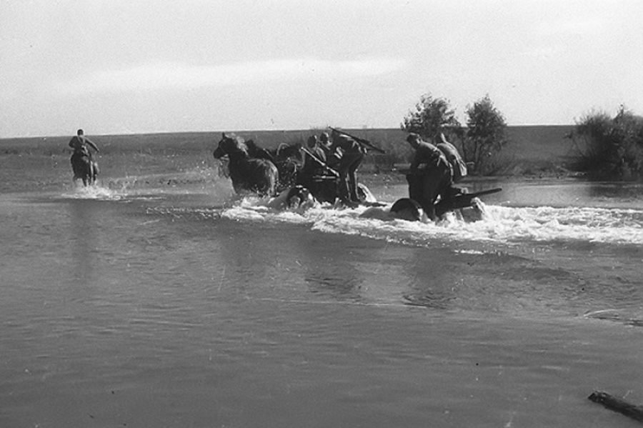 Эх орны дайны ялалтад хувь нэмэр оруулсан Монгол морьдын хөшөөг босгоно