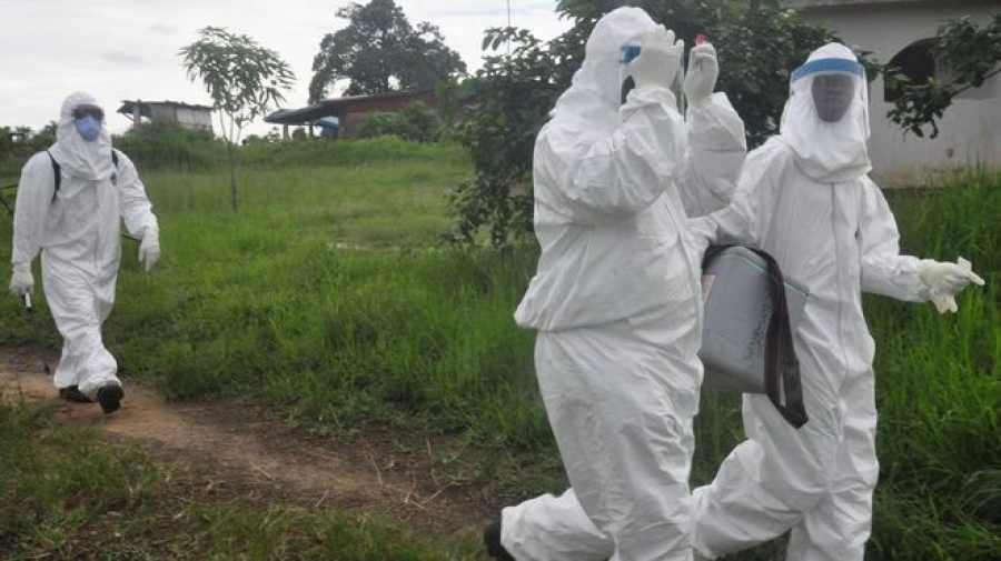Либерид эболагийн халдвар дахин дэгдлээ