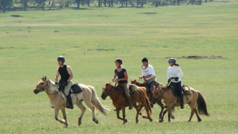 Монголыг зорих жуулчдын тоо буурчээ