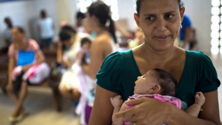 Бразилд тархины гажигтай төрсөн хүүхдийн тоо 5000 гарчээ