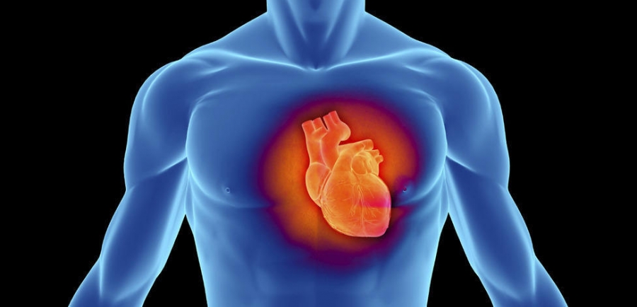 Дийлэнх эрэгтэйчүүд зүрх судасны тогтолцооны өвчний улмаас нас барж байна