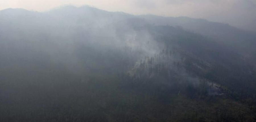 Он гарсаар 56 удаа ой, хээрийн түймэр гарчээ