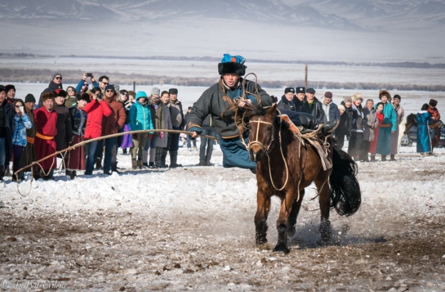 “Талын түмэн адуу” арга хэмжээ Монголын түүх, соёлыг таниулна