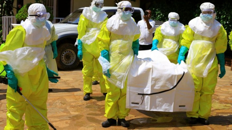 Эбола вирус Конгод илэрчээ