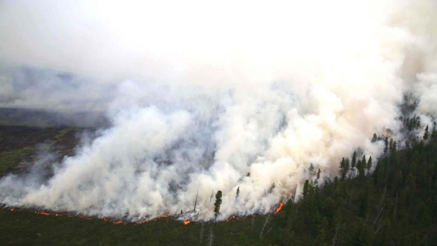 Улсын хэмжээнд он гарсаар 50 суманд ой, хээрийн түймэр гарчээ