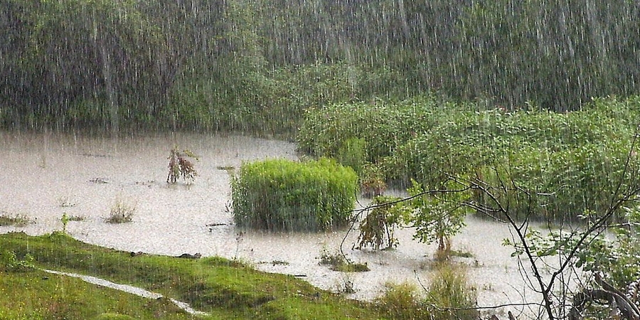 Өнөөдөр төв, говь, зүүн аймгуудын нутгийн зарим газраар үргэлжилсэн бороо орно