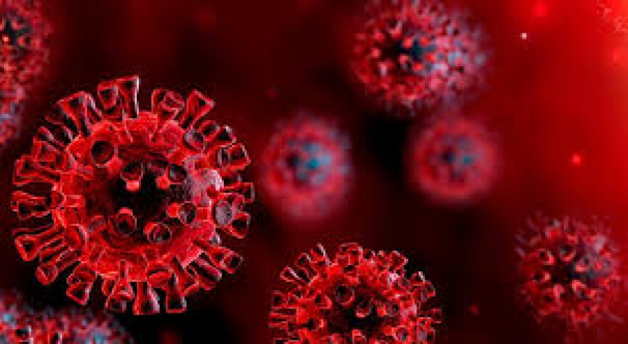 ЭМЯ: Дэлхий нийтэд 303 мянган хүн шинээр коронавирусийн халдвар авч, 6 мянга гаруй хүн эндсэн