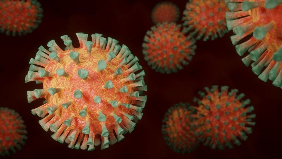 COVID-19: шинэ хувилбар ''B117'' вирус 30 гаруй оронд тархжээ