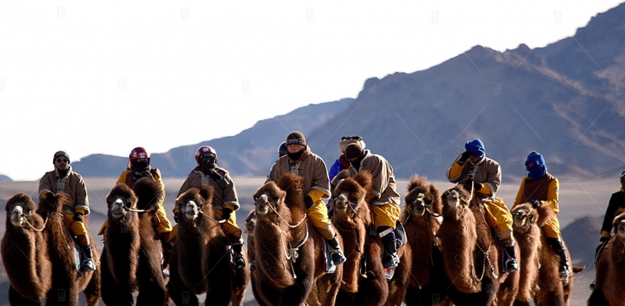 “Gobi challenge-2020” олон өдрийн тэмээн аялал үзэгчдийн хүртээл болно
