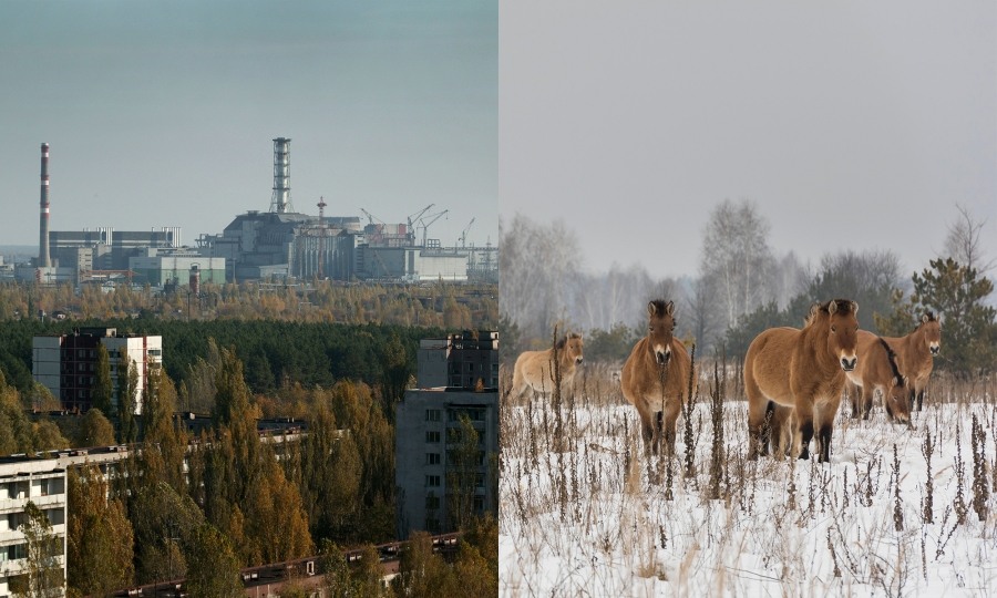 Чернобыль аяллын тэмдэглэл