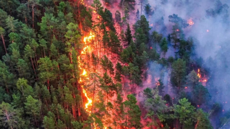 Сэрэмжлүүлэг: Манай улсад нийт 122.6 га талбай түймэрт өртжээ