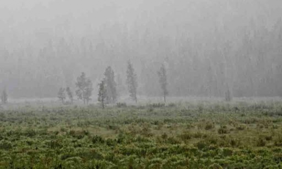 Өнөөдөр Булган, Сэлэнгийн нутаг, Архангайн зүүн, Төв аймгийн баруун хэсгээр ахиухан хэмжээний бороо орно