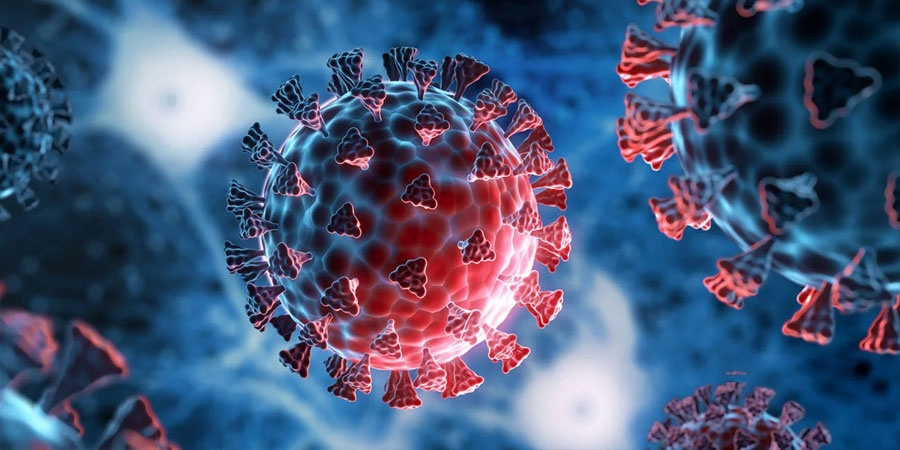 Улсын хэмжээнд өнгөрсөн хоногт коронавируст халдварын 30 тохиолдол батлагджээ