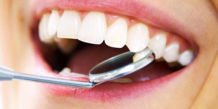 Японы эрдэмтэд шүд ургуулах технологи эзэмшжээ