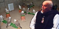 Шонхор шувууны асуудлаар Абдул Каримд хариуцлага тооцжээ
