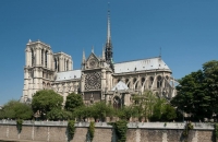 Парисийн Дарь эхийн сүмийг сэргээхэд чулуужсан мод ашиглана