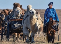 Монгол үндэсний шилдэг, алдарт малчин Доржийн Дашзэвэг