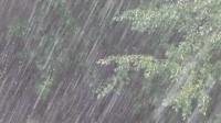 Өнөөдөр Хөвсгөл, Хэнтэйн уулархаг нутаг, Туул голын сав газраар үргэлжилсэн бороо орно